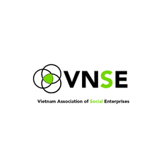 VNSE logo small